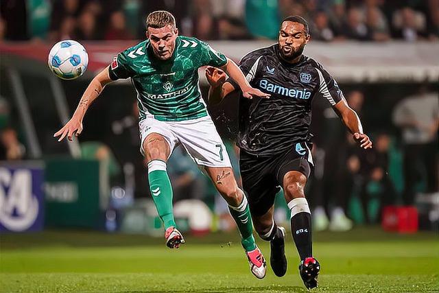 霍芬海姆客场不敌云达不莱梅,遭遇败仗的简单介绍 霍芬海姆客场不敌云达不莱梅,遭遇败仗的简单介绍