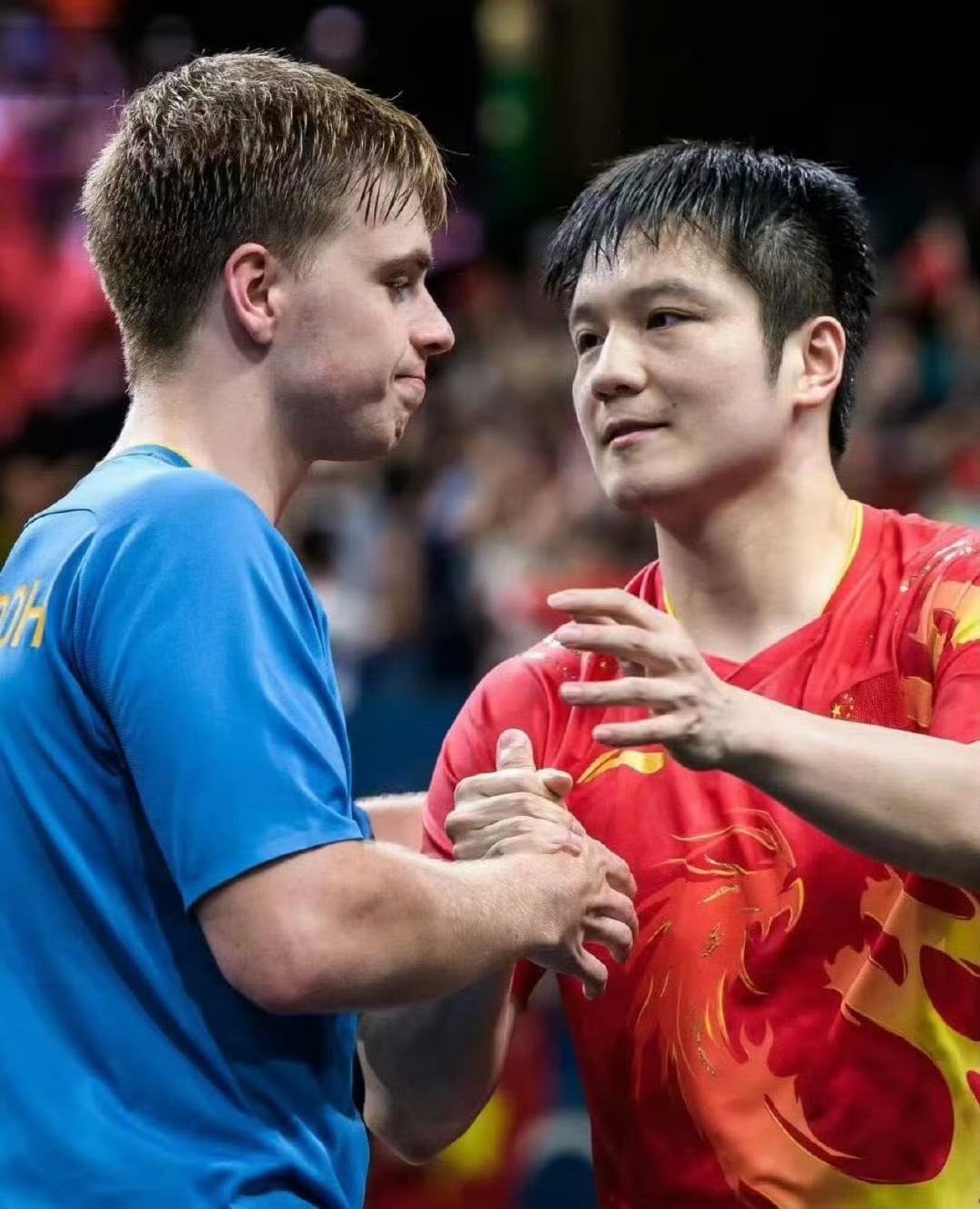 关于英国乒乓球队险胜韩国乒乓球队，波尔统治全场的信息