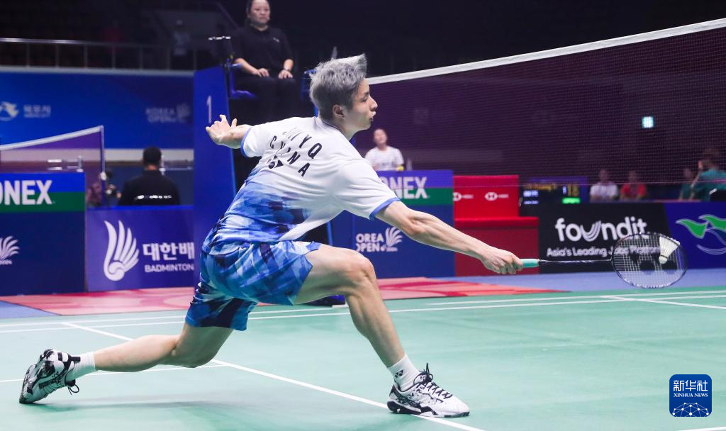 法国队力克韩国队，石宇奇高光表现的简单介绍