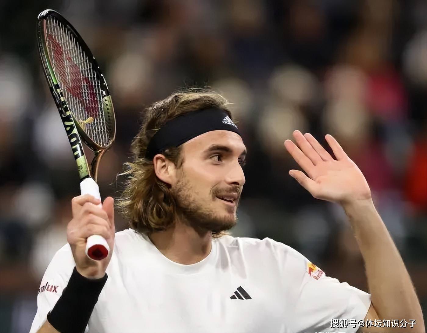 包含戴维斯杯逆转蒙特卡洛大师赛，西西帕斯扛起全队的词条