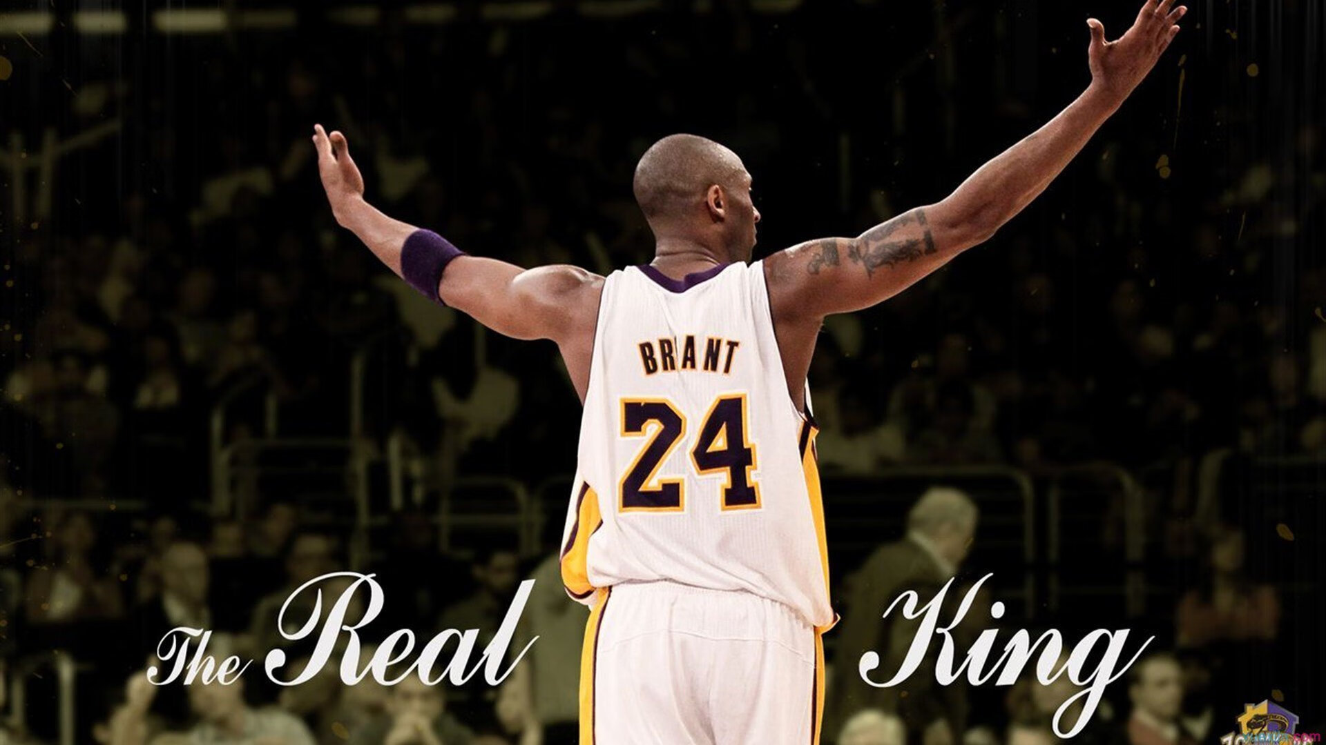 当波斯铁骑遭遇蓝军风暴,加克波如何以独特节奏掌控切尔西对阵伊朗的战术棋局